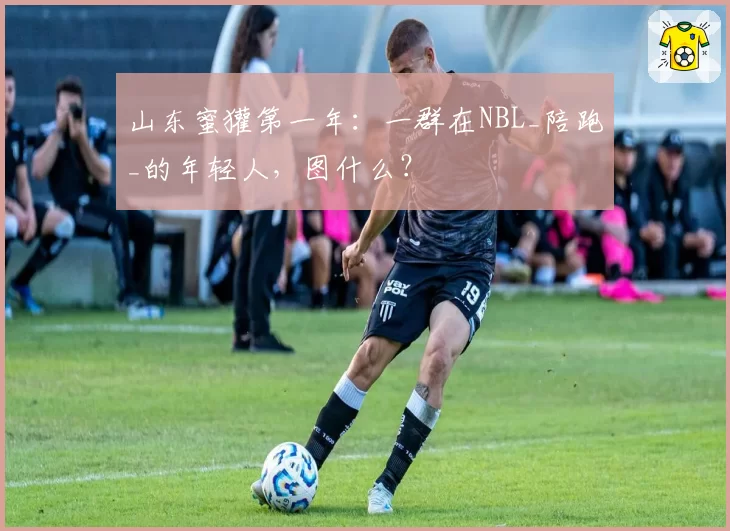 山东蜜獾第一年：一群在NBL_陪跑_的年轻人，图什么？