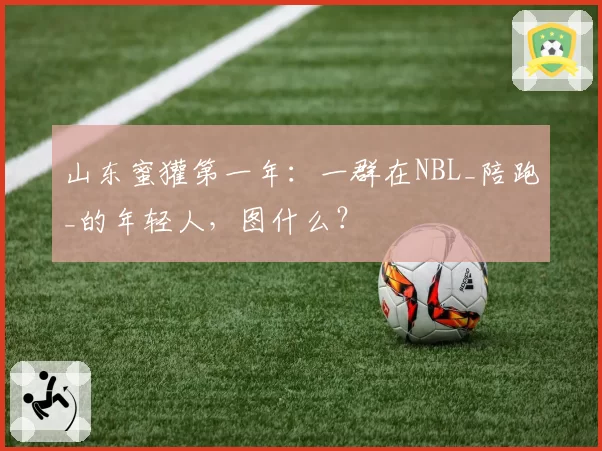 山东蜜獾第一年：一群在NBL_陪跑_的年轻人，图什么？