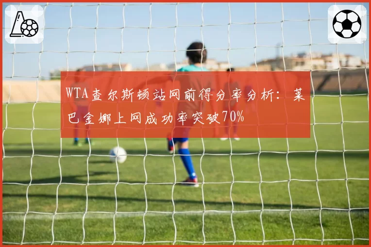 WTA查尔斯顿站网前得分率分析:莱巴金娜上网成功率突破70%